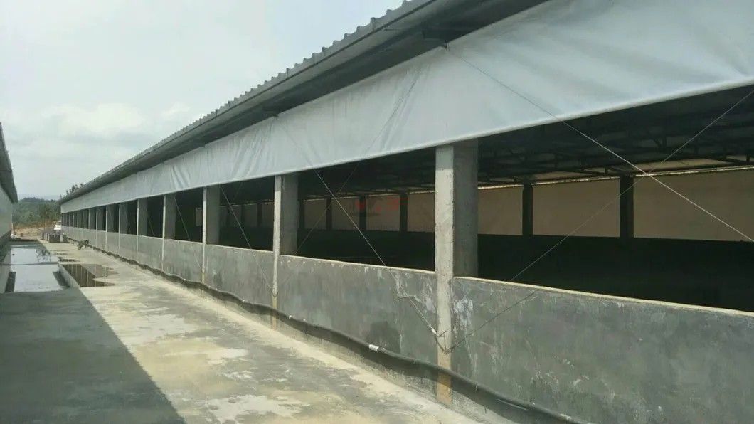 Durable Side Wall Curtain System for Poultry Farm and Cow Farm