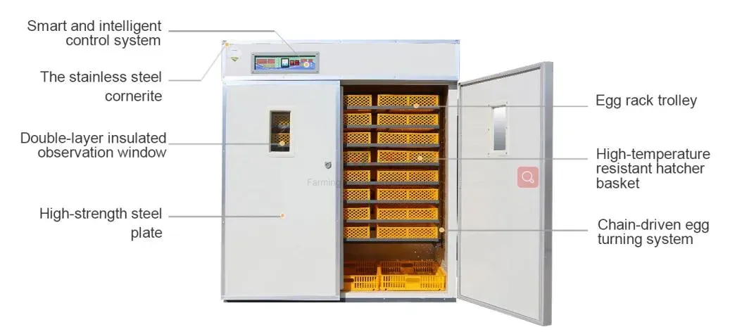Volaille &eacute; Levage Poulets Couveuse Automatique