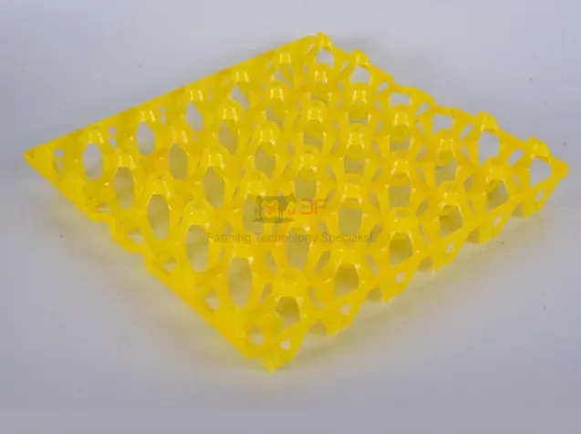 Plastic Containerplastic Egg Tray Plastic Incubator Chicken Egg Tray30 Holes Plastic Egg Tray for Packing and Transportation 30*30*5 Cm Plastic Egg Tray
