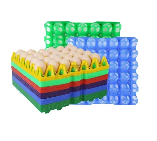 Plastic Containerplastic Egg Tray Plastic Incubator Chicken Egg Tray30 Holes Plastic Egg Tray for Packing and Transportation 30*30*5 Cm Plastic Egg Tray