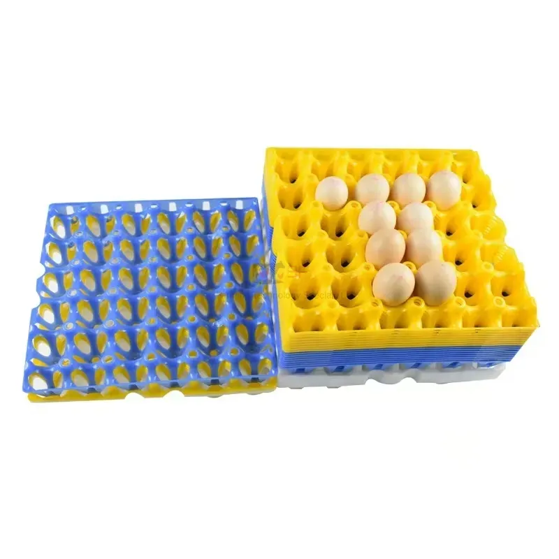 Plastic Containerplastic Egg Tray Plastic Incubator Chicken Egg Tray30 Holes Plastic Egg Tray for Packing and Transportation 30*30*5 Cm Plastic Egg Tray