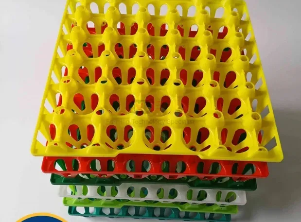 Plastic Containerplastic Egg Tray Plastic Incubator Chicken Egg Tray30 Holes Plastic Egg Tray for Packing and Transportation 30*30*5 Cm Plastic Egg Tray