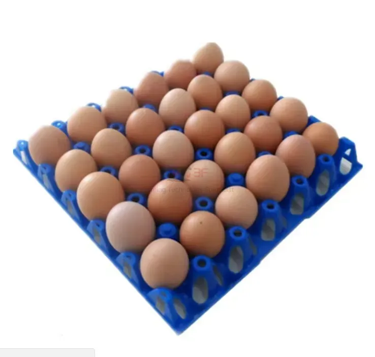 Plastic Containerplastic Egg Tray Plastic Incubator Chicken Egg Tray30 Holes Plastic Egg Tray for Packing and Transportation 30*30*5 Cm Plastic Egg Tray