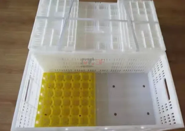 Plastic Containerplastic Egg Tray Plastic Incubator Chicken Egg Tray30 Holes Plastic Egg Tray for Packing and Transportation 30*30*5 Cm Plastic Egg Tray