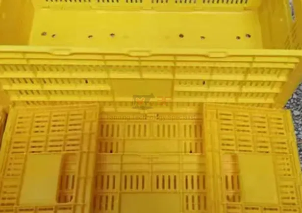 Plastic Containerplastic Egg Tray Plastic Incubator Chicken Egg Tray30 Holes Plastic Egg Tray for Packing and Transportation 30*30*5 Cm Plastic Egg Tray