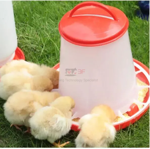 Plastic Direct Factory Supply Broiler Chicken Egg Chicken Waterer for Poultry Farm