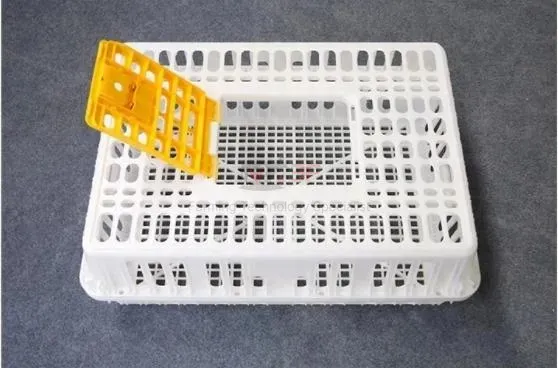 High Quality Plastic Poultry Transport Crate Durable Chicken Crate