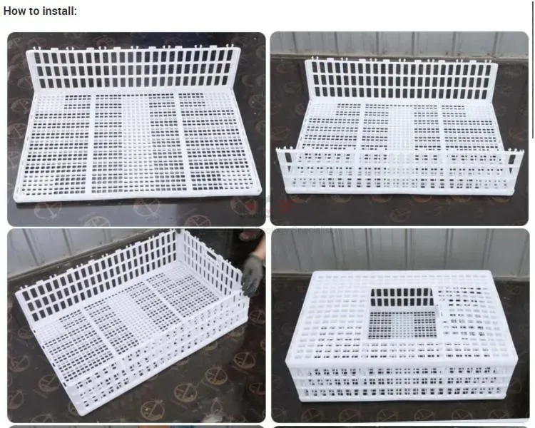 High Quality Plastic Poultry Transport Crate Durable Chicken Crate