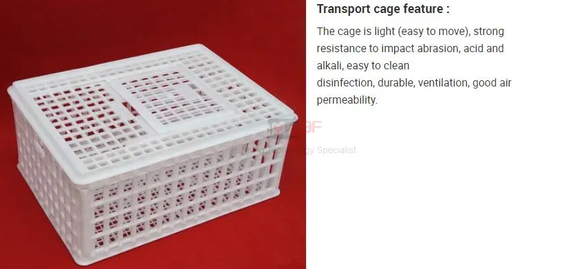 High Quality Plastic Poultry Transport Crate Durable Chicken Crate