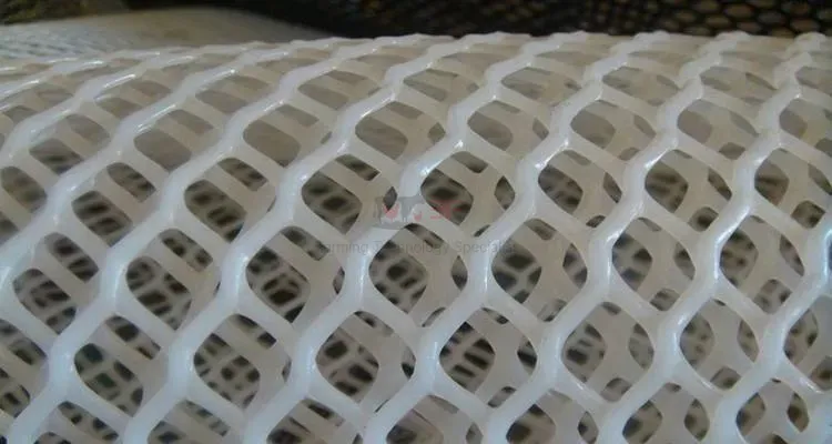 Plastic Chicken Net Poultry Farm Net Chicken Wire Fence Mesh