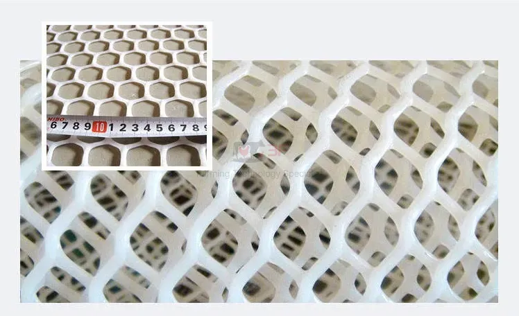 Plastic Chicken Net Poultry Farm Net Chicken Wire Fence Mesh