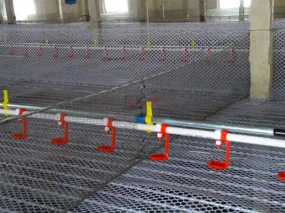 Plastic Chicken Net Poultry Farm Net Chicken Wire Fence Mesh