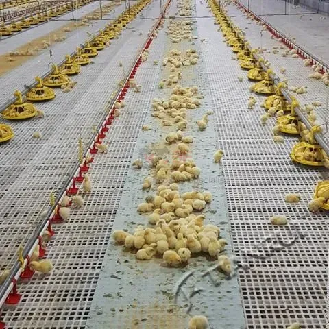 Plastic Chicken Net Poultry Farm Net Chicken Wire Fence Mesh