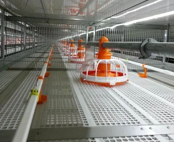 Plastic Chicken Net Poultry Farm Net Chicken Wire Fence Mesh