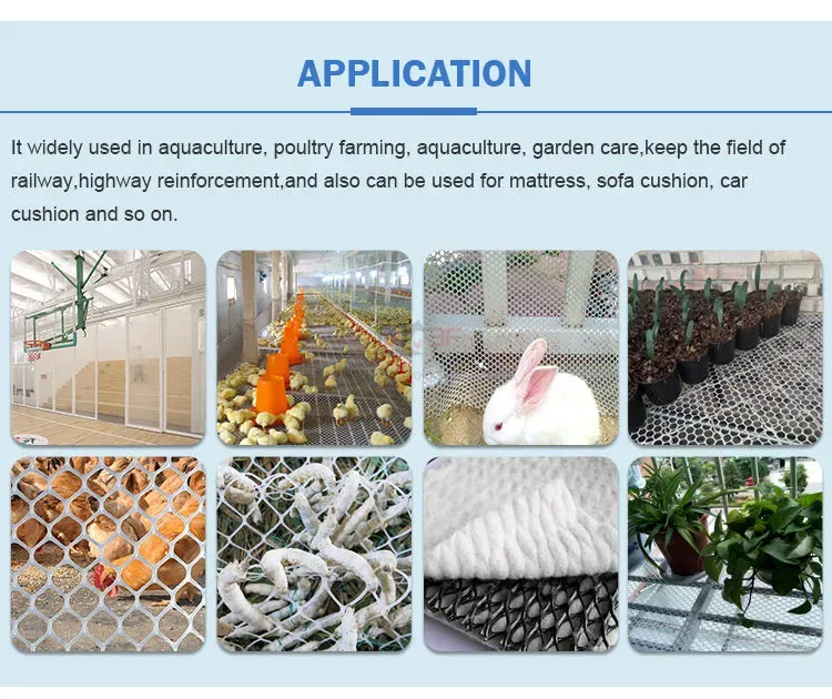 Plastic Chicken Net Poultry Farm Net Chicken Wire Fence Mesh